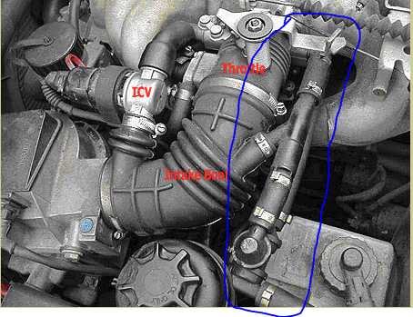 2002 bmw 325i vacuum lines